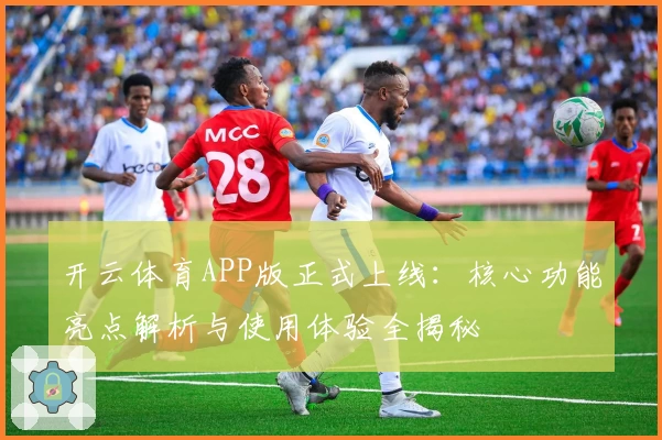 开云体育APP版正式上线：核心功能亮点解析与使用体验全揭秘